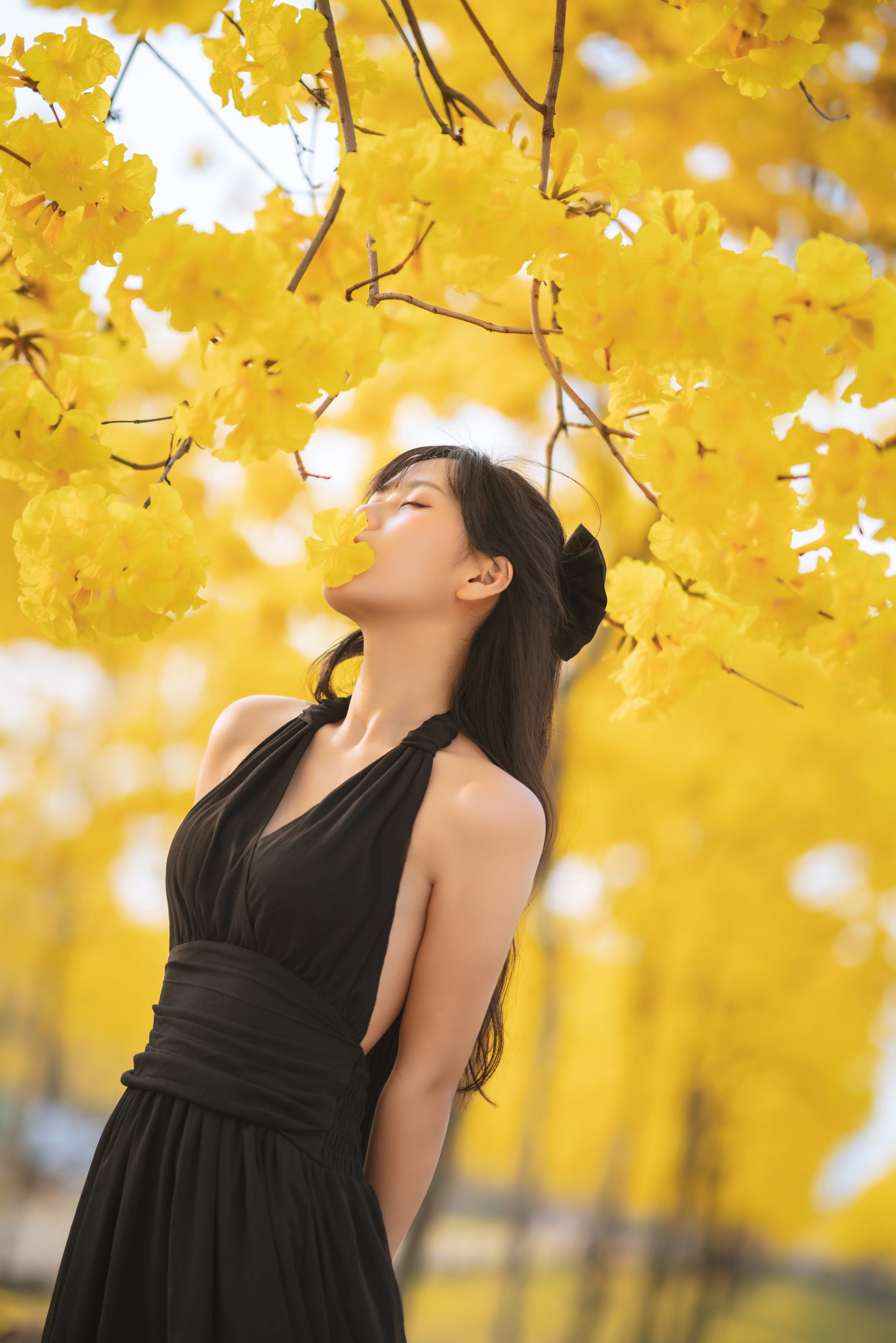 图片[1]-萌芽儿o0 – NO.026 秋有银杏 春有黄风铃[24P]-XikXak